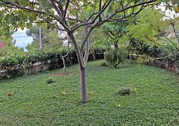 Apartmán 5672