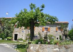 Apartmán 7403