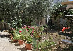 Apartmán 6850