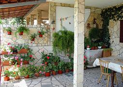 Apartmán 975