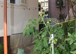 Apartmán 6854