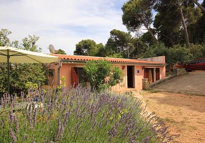Apartmán 8029