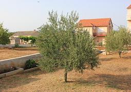 Apartmán 331