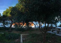Apartmán 12591