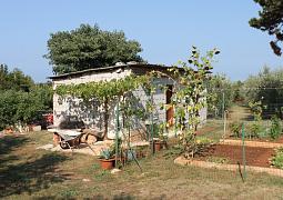 Apartmán 6995