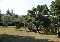 Apartmán 6995