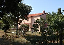Apartmán 6995