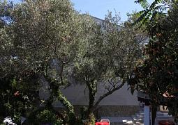 Apartmán 8032