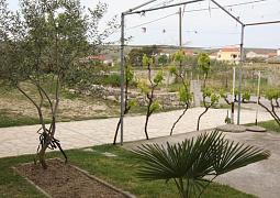 Apartmán 6141