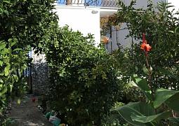 Apartmán 10338
