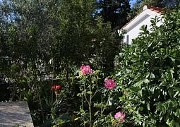 Apartmán 10338