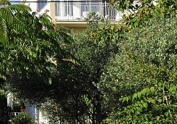 Apartmán 5802