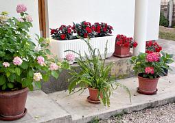 Apartmán 5802
