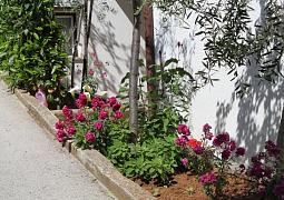 Apartmán 7647