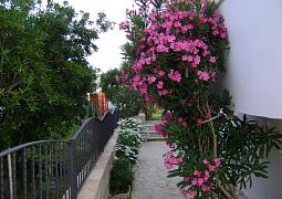 Apartmán 14593