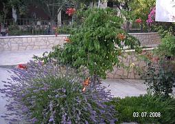 Apartmán 14593