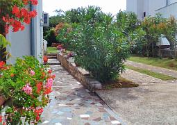 Apartmán 14932