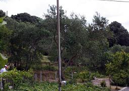Apartmán 5018