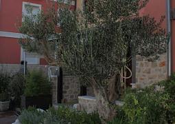 Apartmán 8432