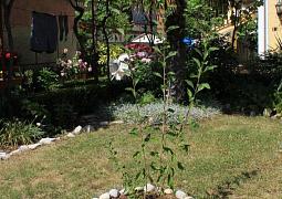Apartmán 8210