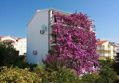 Apartmán 2104