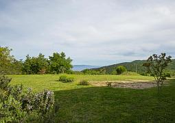 Apartmán 11656
