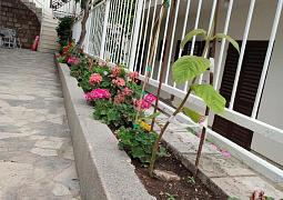 Apartmán 2576