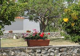 Apartmán 6523