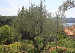Apartmán 8691
