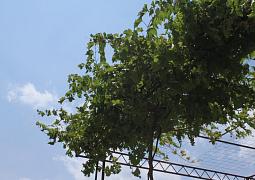 Apartmán 6725