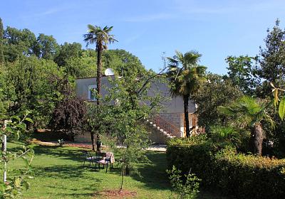 Apartmán 7713