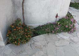 Apartmán 658
