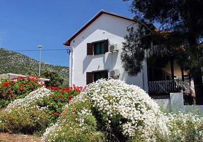Apartmán 594