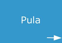 Vila 1318-561