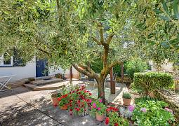 Apartmány 1318-368