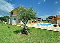 Vila 1318-499