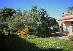 Vila 1318-443