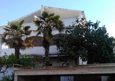 Apartmán 814