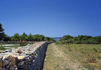 Vila 1318-813