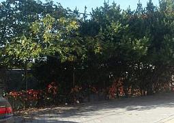 Apartmán 17032