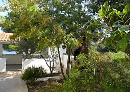 Apartmán 16855