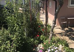 Apartmán 7126
