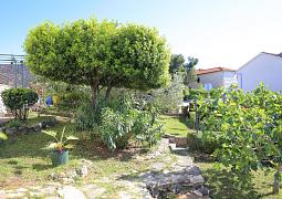 Apartmán 17023