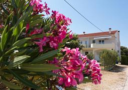 Apartmán 17342