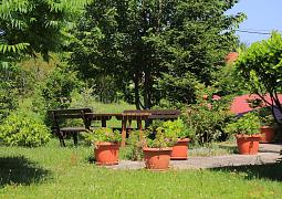 Apartmán 17419