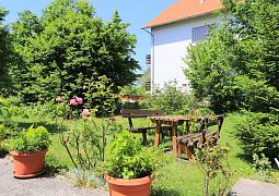 Apartmán 17419