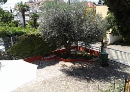 Apartmán 17633