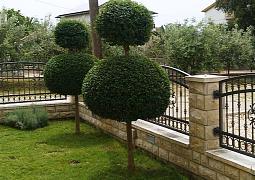 Apartmán 6131