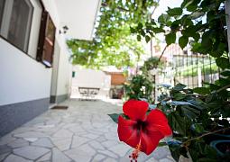 Apartmány 1355-263