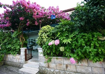 Apartmán 15150